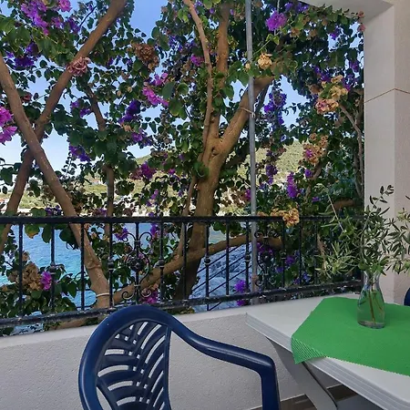 Apartment Nikola 5m From Beach